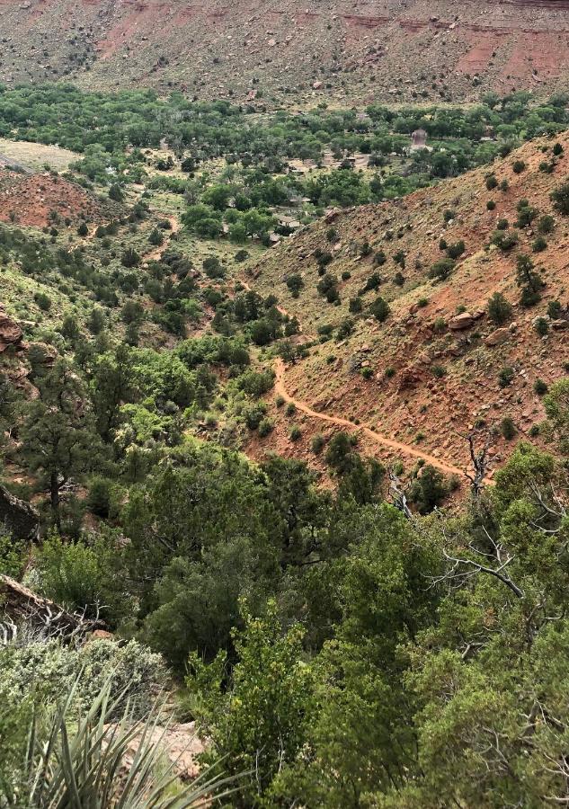 Cedar Lodge Cedar City Εξωτερικό φωτογραφία