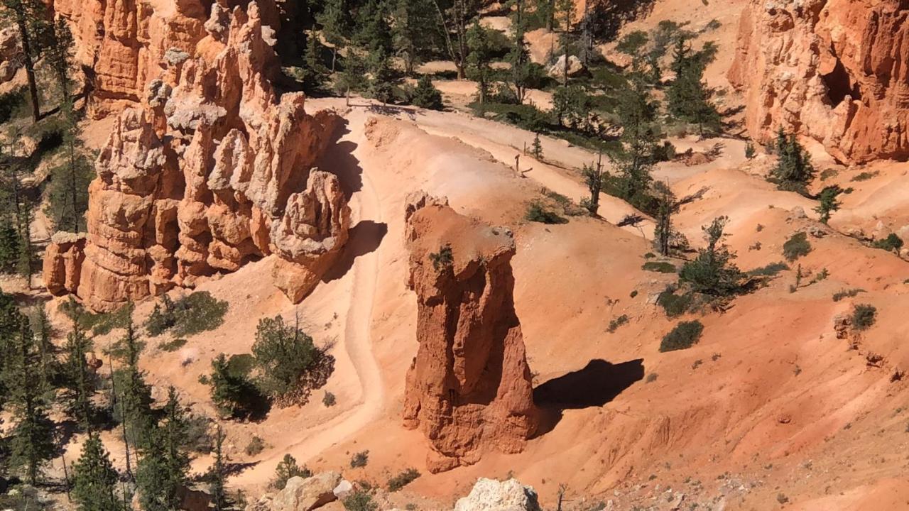Cedar Lodge Cedar City Εξωτερικό φωτογραφία