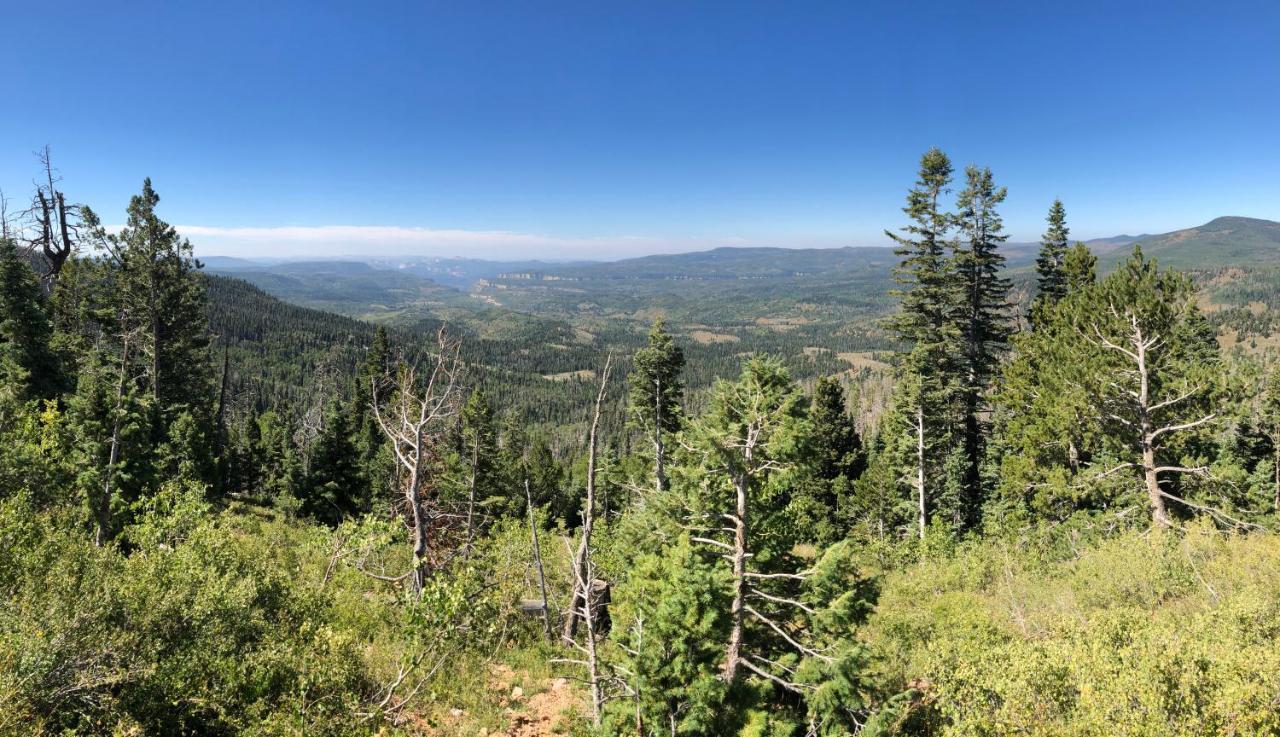 Cedar Lodge Cedar City Εξωτερικό φωτογραφία
